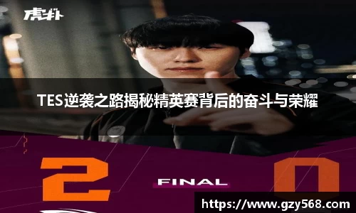 TES逆袭之路揭秘精英赛背后的奋斗与荣耀