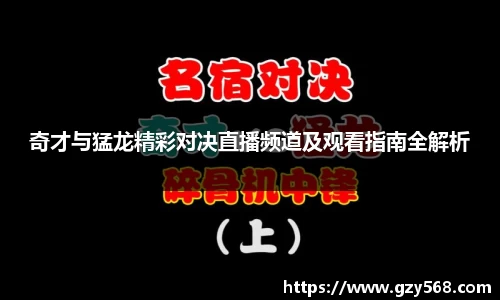 奇才与猛龙精彩对决直播频道及观看指南全解析