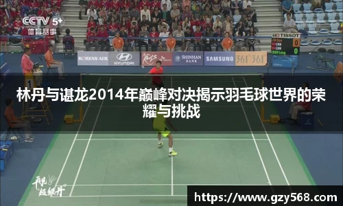 林丹与谌龙2014年巅峰对决揭示羽毛球世界的荣耀与挑战