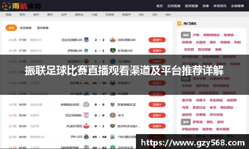 振联足球比赛直播观看渠道及平台推荐详解