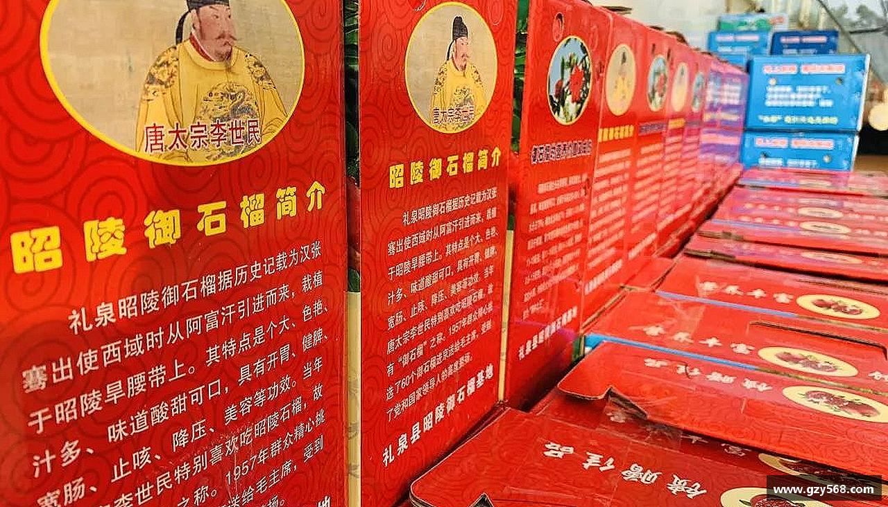 体育明星